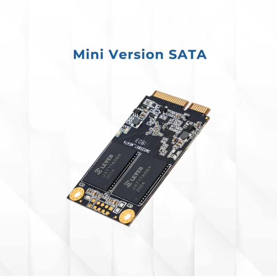 送料無料 LEVEN 内蔵SSD mSATA(30x50.9mm) 3D NAND SATA3 6Gbps SSD 3