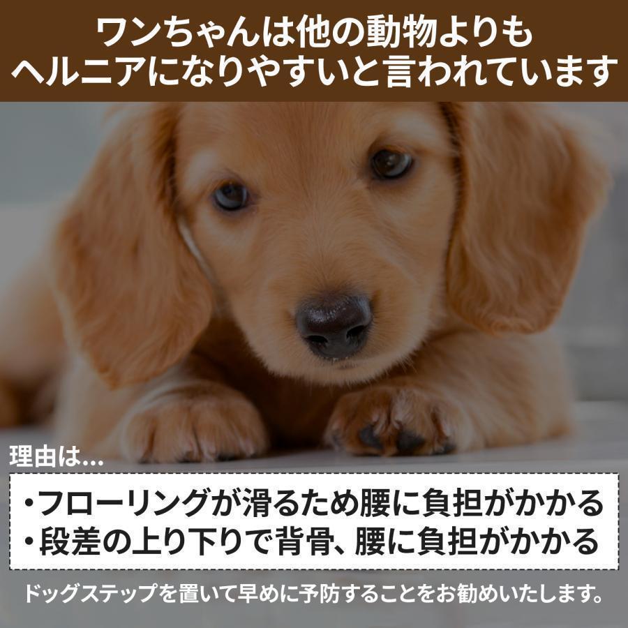 ドッグステップ ３段 収納 犬 階段 ステップ ペット 用 小型 猫 高齢 滑り止め スロープ 用品 ステップ台 怪我防止 折りたたみ 介護｜dear-woman｜04