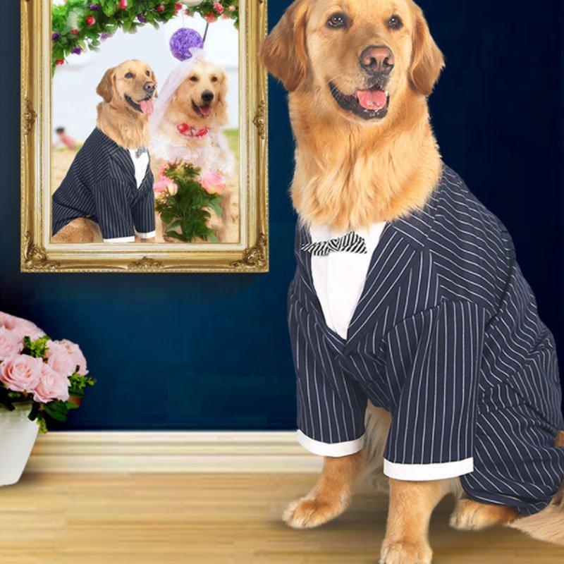 犬服洋服紳士ドッグウェアタキシードストライプフォームスーツ新郎リボンネックレス中型犬大型犬結婚式お祝い記念パーティー制服｜dear-woman｜02