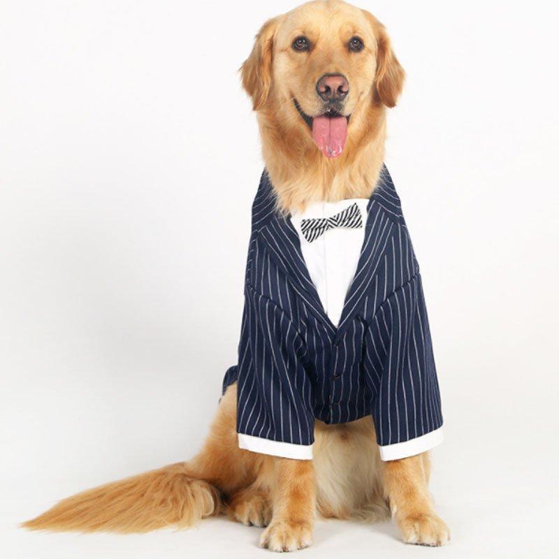犬服洋服紳士ドッグウェアタキシードストライプフォームスーツ新郎リボンネックレス中型犬大型犬結婚式お祝い記念パーティー制服｜dear-woman｜05
