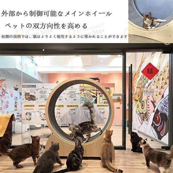 キャットホイール キャット 低騒音 ランニングホイール回し車 省スペース ダイエット 猫 運動不足解消 おもちゃ 肉球に優しい 完成品 組み立て不要｜dear-woman｜04