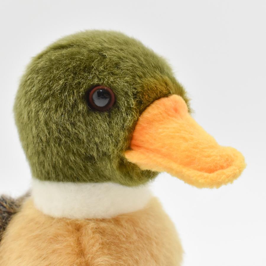 BH2053 マガモ 仔 HANSA　まがも 真鴨 とり トリ 鳥 こども 子供 ぬいぐるみ リアル | HANSA（ぬいぐるみ） | 03