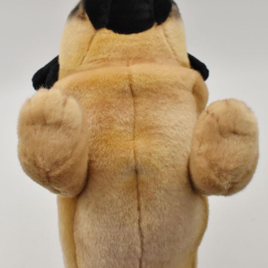 HANSA(ぬいぐるみ) BH2630 パグ HANSA ぱぐ いぬ イヌ 犬 HANSA(ぬいぐるみ) BH2630 パグ HANSA ぱぐ いぬ イヌ 犬
