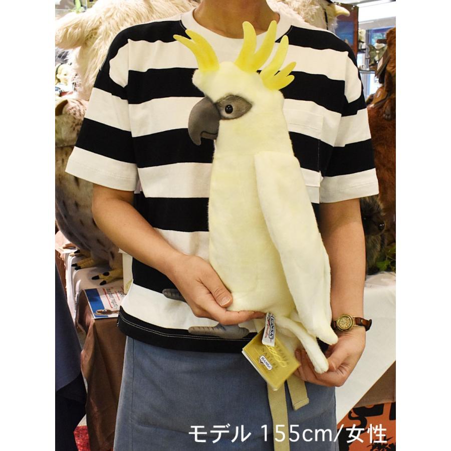 HANSA（ぬいぐるみ） BH2654 タイハクオウム HANSA たいはく