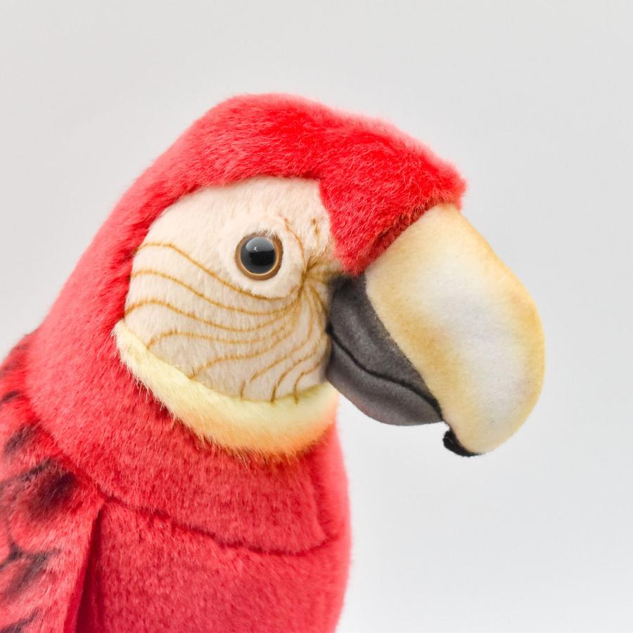 HANSA（ぬいぐるみ） BH3067 コンゴウインコ HANSA こんごういん