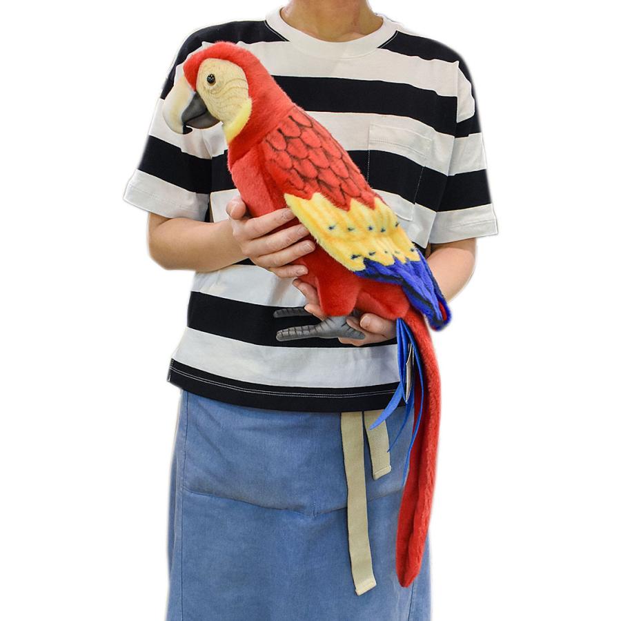 BH3067 コンゴウインコ HANSA　こんごういんこ とり トリ 鳥 ぬいぐるみ リアル | HANSA（ぬいぐるみ） | 09