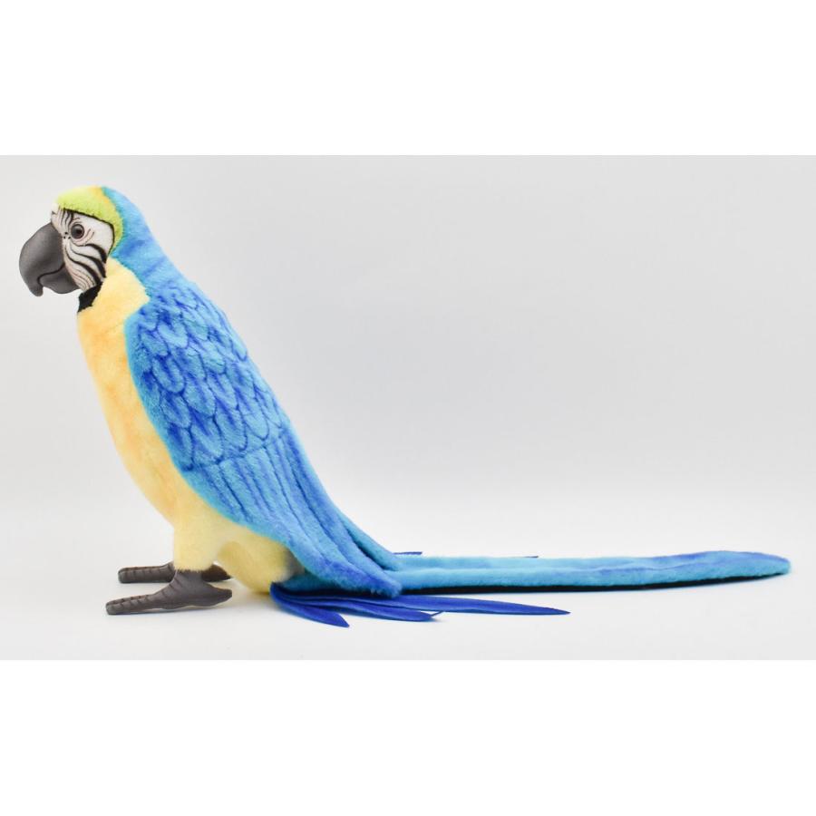 BH3068 アオキコンゴウインコ HANSA　あおきこんごういんこ とり トリ 鳥 ぬいぐるみ リアル | HANSA（ぬいぐるみ） | 01
