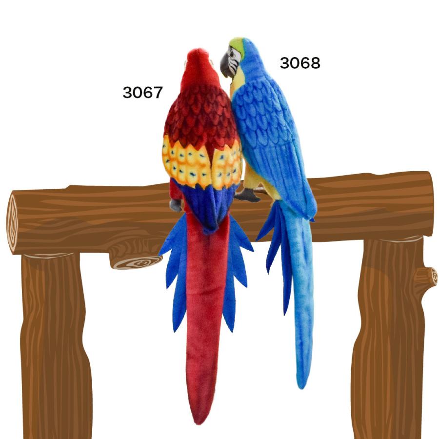 BH3068 アオキコンゴウインコ HANSA　あおきこんごういんこ とり トリ 鳥 ぬいぐるみ リアル | HANSA（ぬいぐるみ） | 10