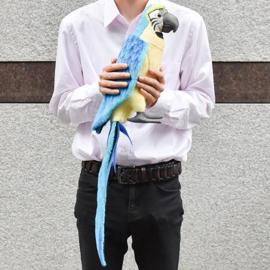 BH3068 アオキコンゴウインコ HANSA　あおきこんごういんこ とり トリ 鳥 ぬいぐるみ リアル | HANSA（ぬいぐるみ） | 09