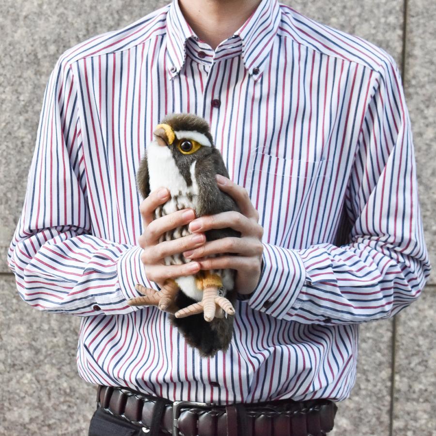 BH3079 ハヤブサ HANSA　はやぶさ 隼 とり トリ 鳥 ぬいぐるみ リアル | HANSA（ぬいぐるみ） | 08