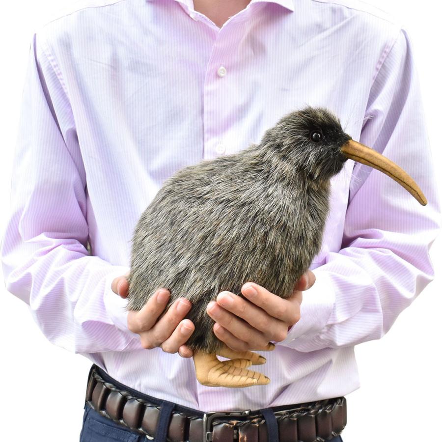 BH3083 キーウィ HANSA　きーうぃ とり トリ 鳥 ぬいぐるみ リアル | HANSA（ぬいぐるみ） | 06