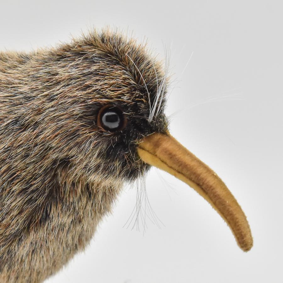 BH3084 キーウィ HANSA　きーうぃ とり トリ 鳥 ぬいぐるみ リアル | HANSA（ぬいぐるみ） | 03