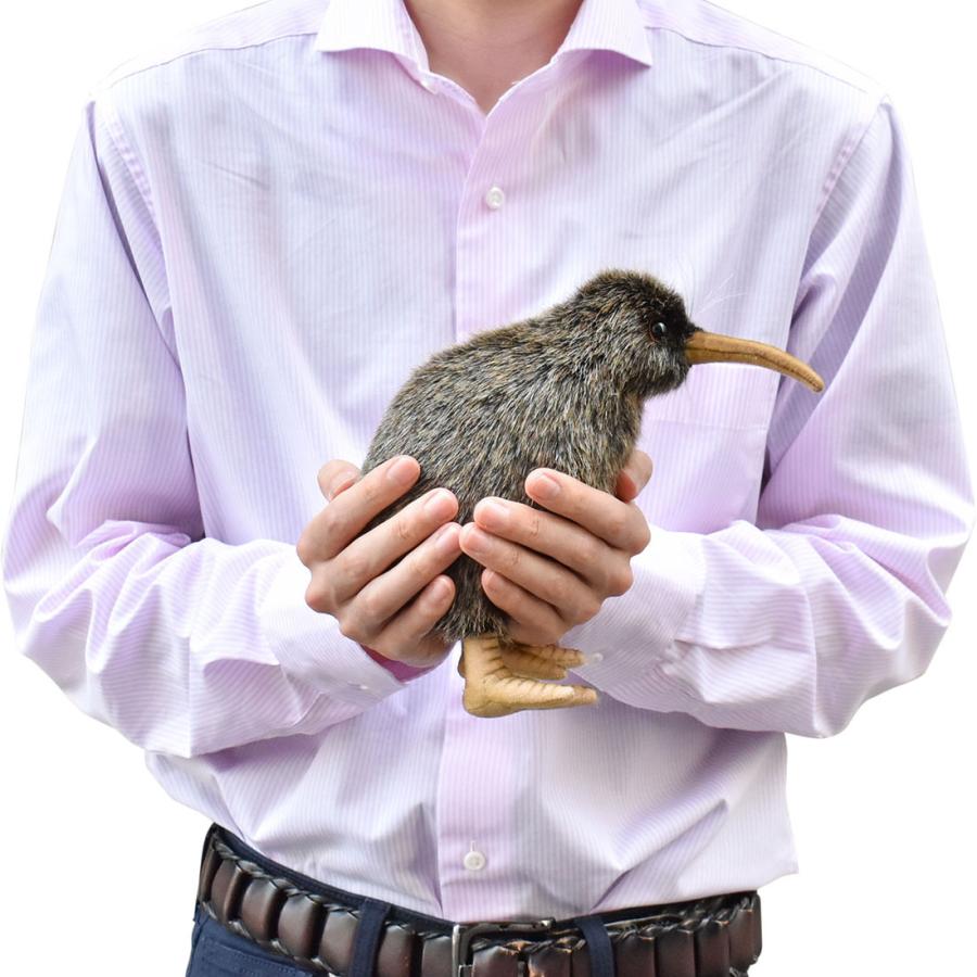 BH3084 キーウィ HANSA　きーうぃ とり トリ 鳥 ぬいぐるみ リアル | HANSA（ぬいぐるみ） | 06