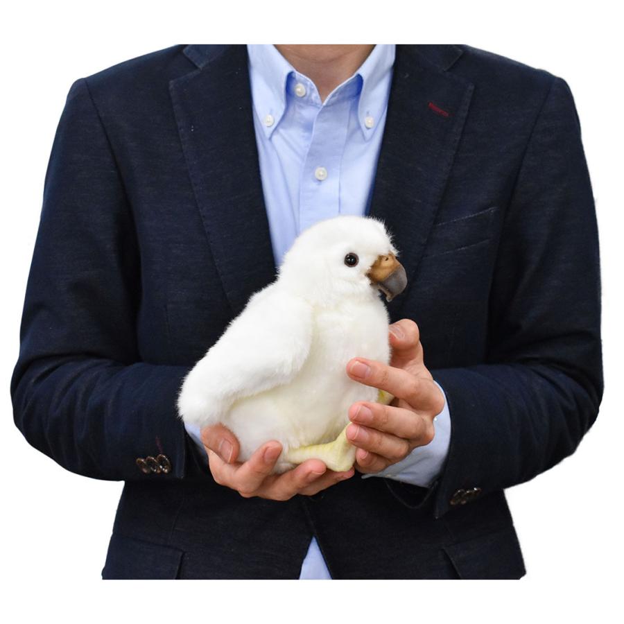BH3088 ワシ 仔 HANSA　わし 鷲 とり トリ 鳥 こども 子供 ぬいぐるみ リアル 爆買 母の日 | HANSA（ぬいぐるみ） | 06