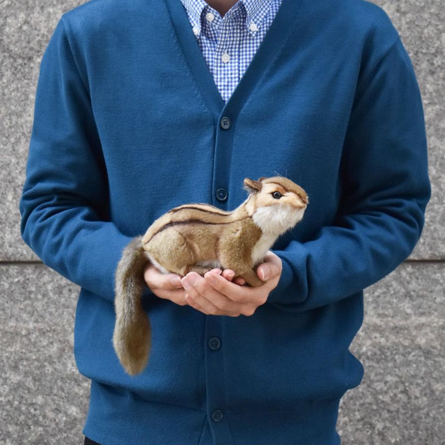 HANSA BH3091 シマリス しまりす 縞栗鼠 ぬいぐるみ リアル : Dear