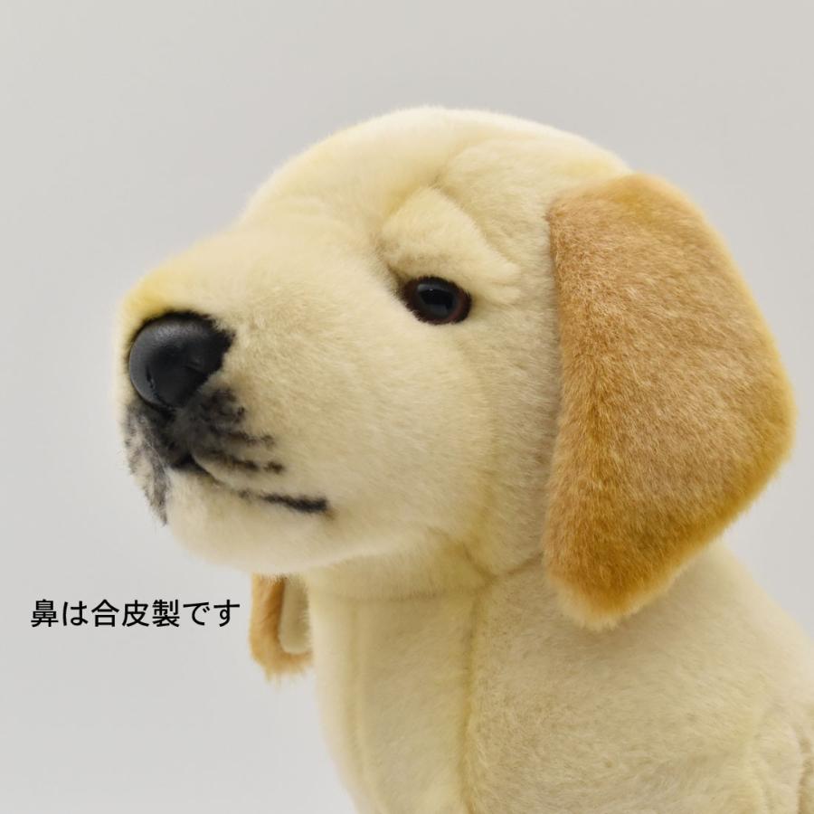 BH3098 ラブラドール 仔 HANSA　らぶらどーる いぬ イヌ 犬 ぬいぐるみ リアル おもちゃ 置物｜dearbear｜08