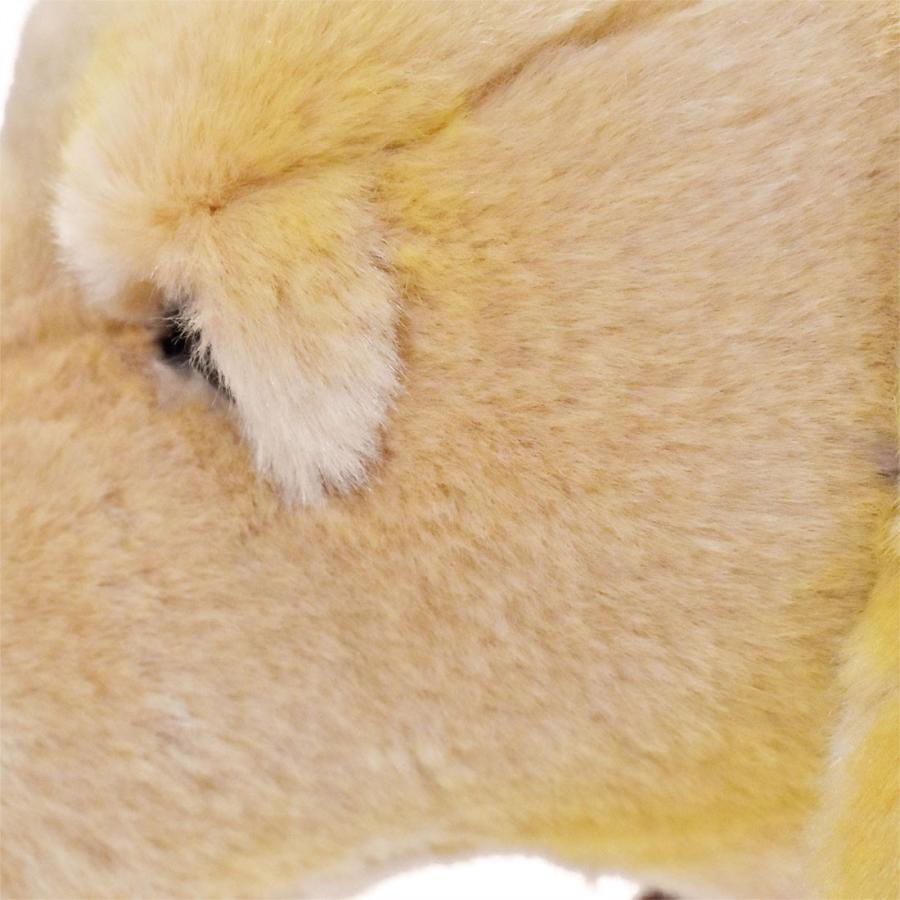 BH3099 ラブラドール HANSA　らぶらどーる いぬ イヌ 犬 ぬいぐるみ リアル | HANSA（ぬいぐるみ） | 04