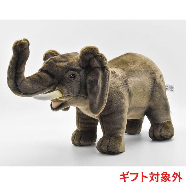 BH3122 アフリカゾウ HANSA　あふりかぞう 象 ぬいぐるみ リアル | HANSA（ぬいぐるみ）