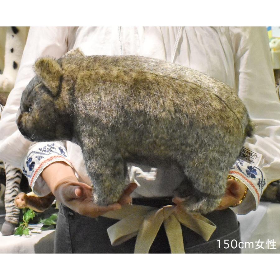 BH3248 ウォンバット HANSA　うぉんばっと ぬいぐるみ リアル | HANSA（ぬいぐるみ） | 07