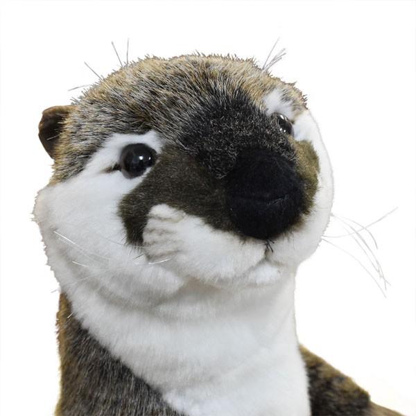 BH3320 カワウソ HANSA　獺 かわうそ ぬいぐるみ リアル | HANSA（ぬいぐるみ） | 03