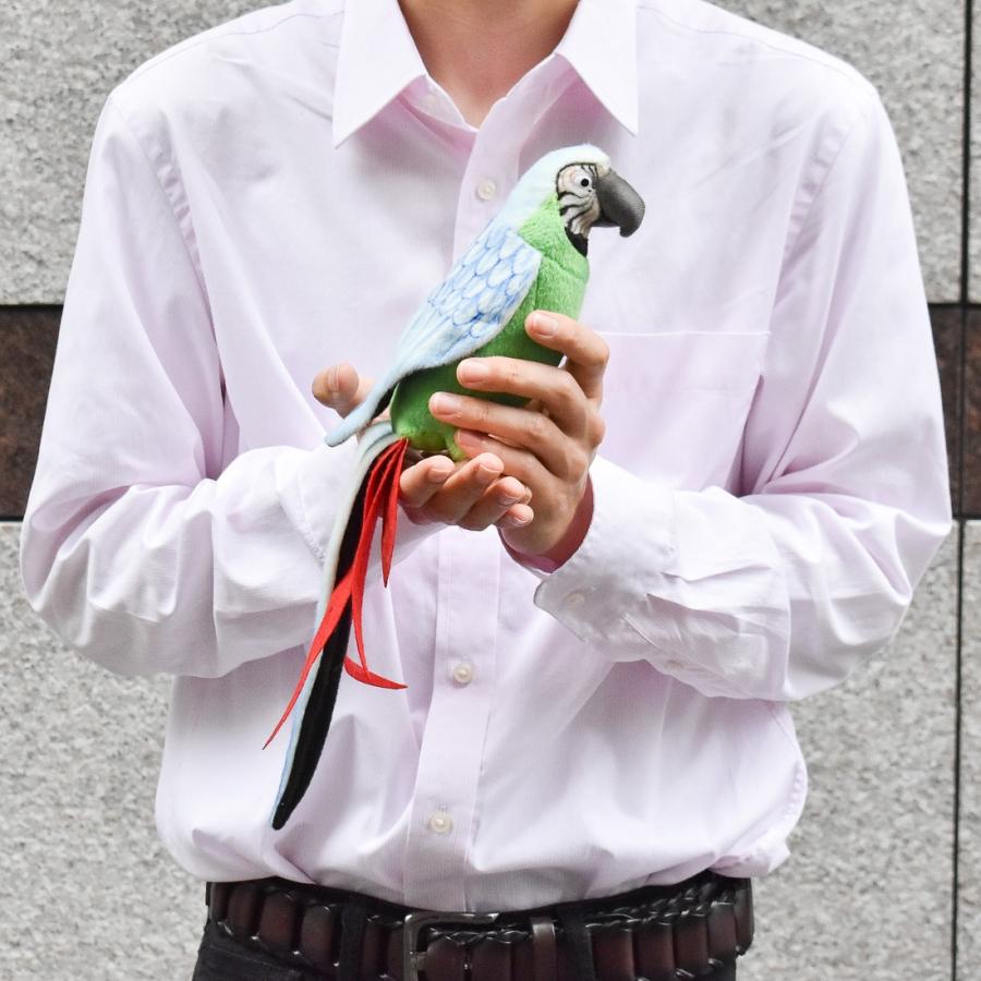 BH3324 オウム グリーン HANSA　おうむ とり トリ 緑色 鳥 ぬいぐるみ リアル | HANSA（ぬいぐるみ） | 10
