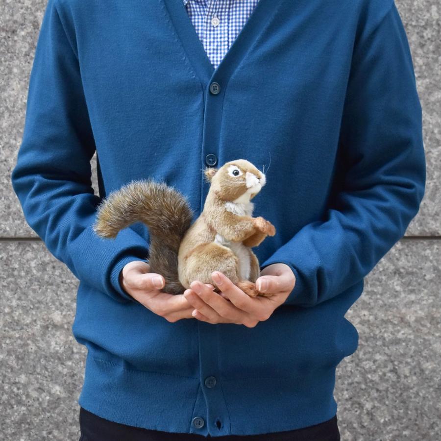 HANSA BH3395 アカリス りす 栗鼠 ぬいぐるみ リアル : Dear Bear WEB