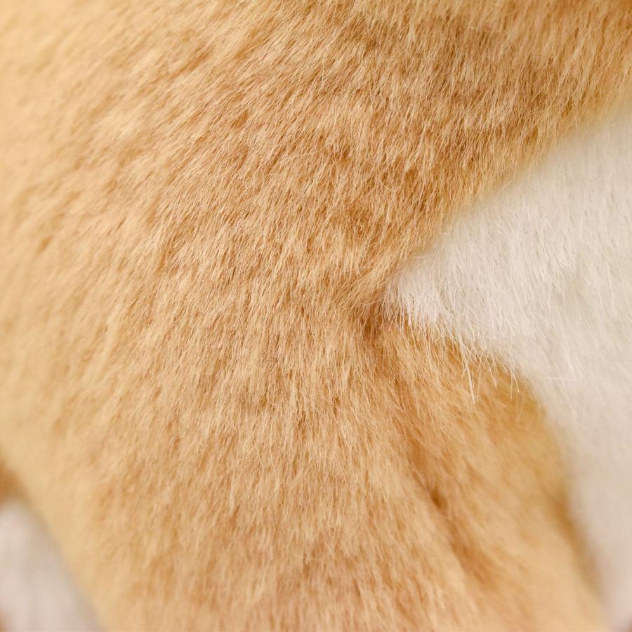 BH3422 ライオン 仔 HANSA　らいおん こども 子供 ぬいぐるみ リアル | HANSA（ぬいぐるみ） | 05