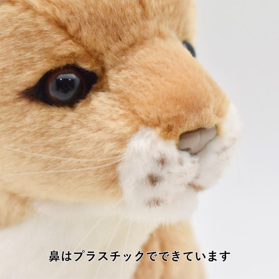 BH3422 ライオン 仔 HANSA　らいおん こども 子供 ぬいぐるみ リアル | HANSA（ぬいぐるみ） | 07