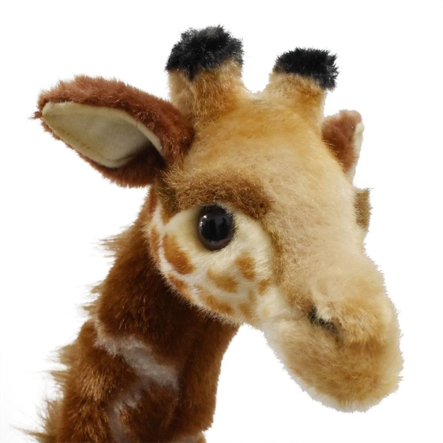 HANSA BH3429 キリン きりん 麒麟 ぬいぐるみ リアル : Dear Bear WEB