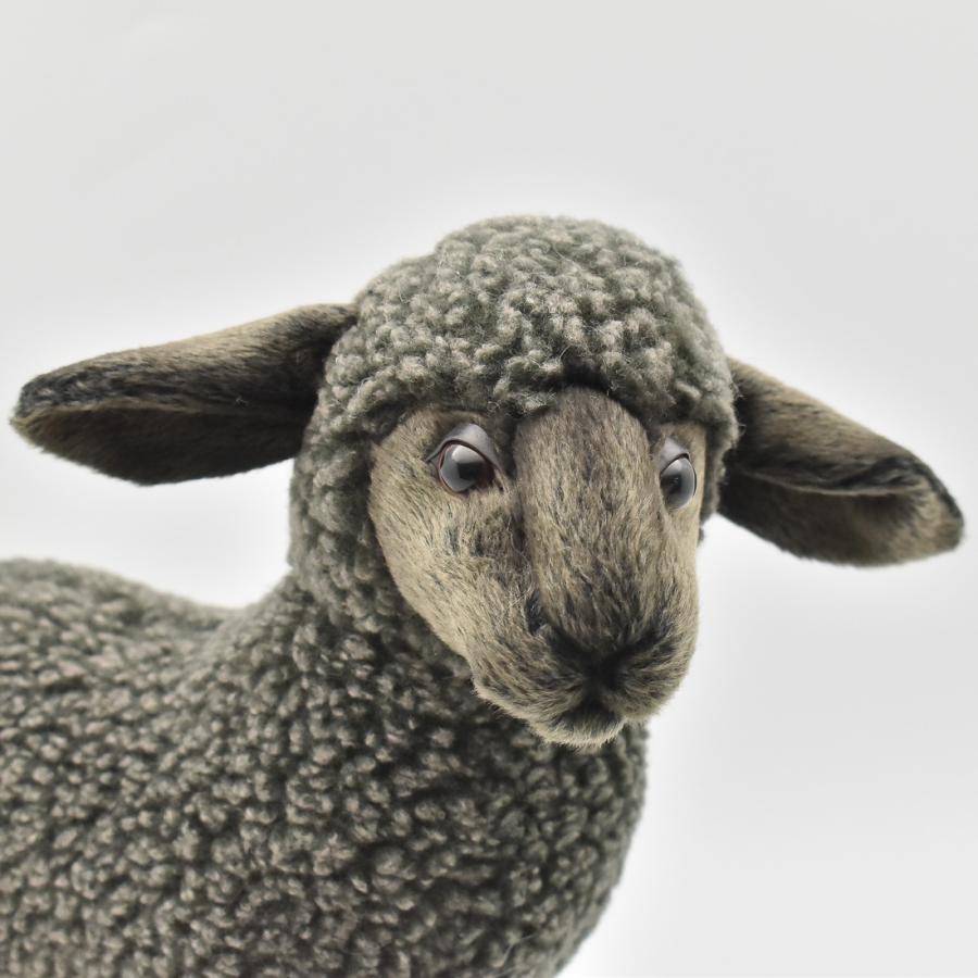BH3454 クロヒツジ HANSA　くろひつじ 黒羊 ぬいぐるみ リアル | HANSA（ぬいぐるみ） | 03