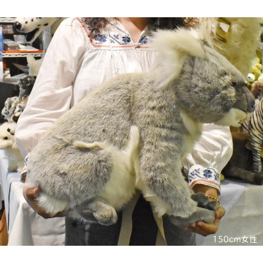 HANSA BH3523 コアラ こあら ぬいぐるみ リアル : Dear Bear WEB SHOP