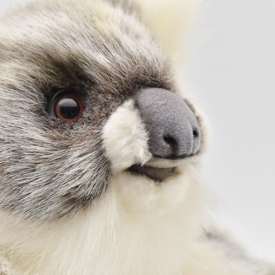 BH3525 コアラ 仔 HANSA　こあら こども 子供 ぬいぐるみ リアル | HANSA（ぬいぐるみ） | 06