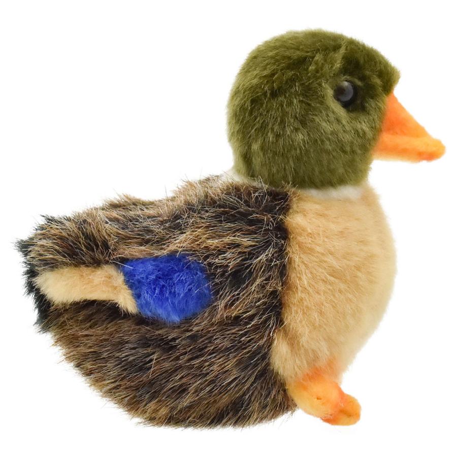 BH3570 マガモ 仔 HANSA　まがも 真鴨 とり トリ 鳥 こども 子供 ぬいぐるみ リアル | HANSA（ぬいぐるみ） | 01