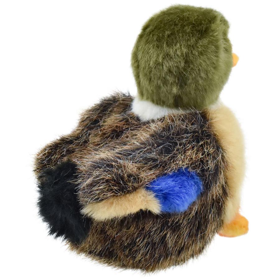 BH3570 マガモ 仔 HANSA　まがも 真鴨 とり トリ 鳥 こども 子供 ぬいぐるみ リアル | HANSA（ぬいぐるみ） | 02