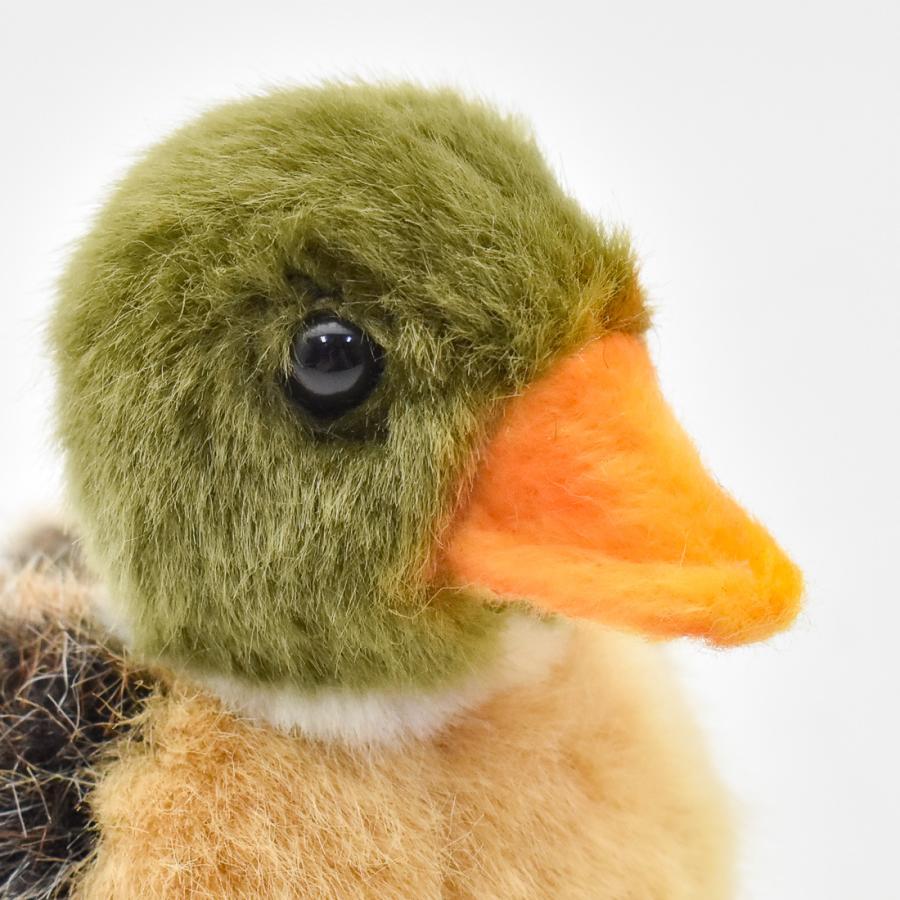 BH3570 マガモ 仔 HANSA　まがも 真鴨 とり トリ 鳥 こども 子供 ぬいぐるみ リアル | HANSA（ぬいぐるみ） | 03