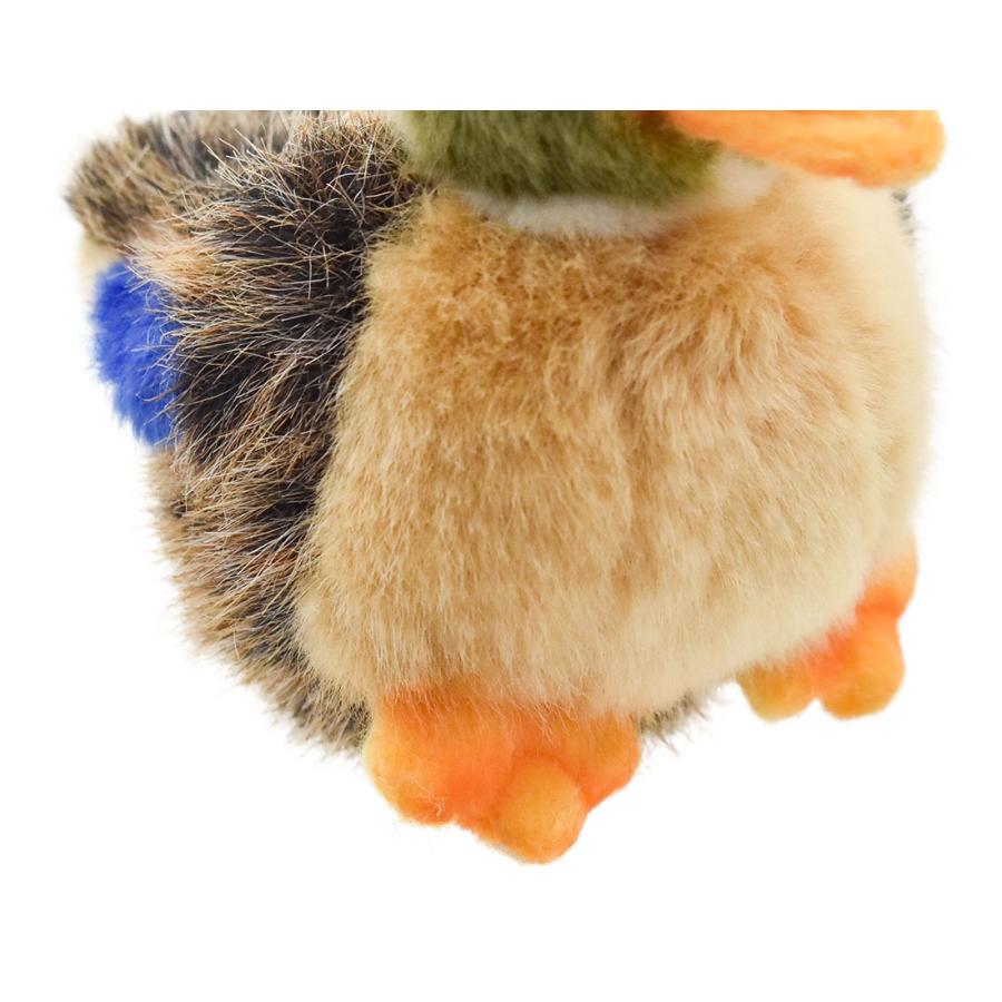 BH3570 マガモ 仔 HANSA　まがも 真鴨 とり トリ 鳥 こども 子供 ぬいぐるみ リアル | HANSA（ぬいぐるみ） | 05