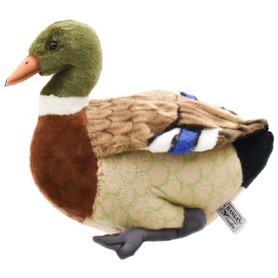BH3601 マガモ HANSA　まがも 真鴨 とり トリ 鳥 ぬいぐるみ リアル | HANSA（ぬいぐるみ） | 01