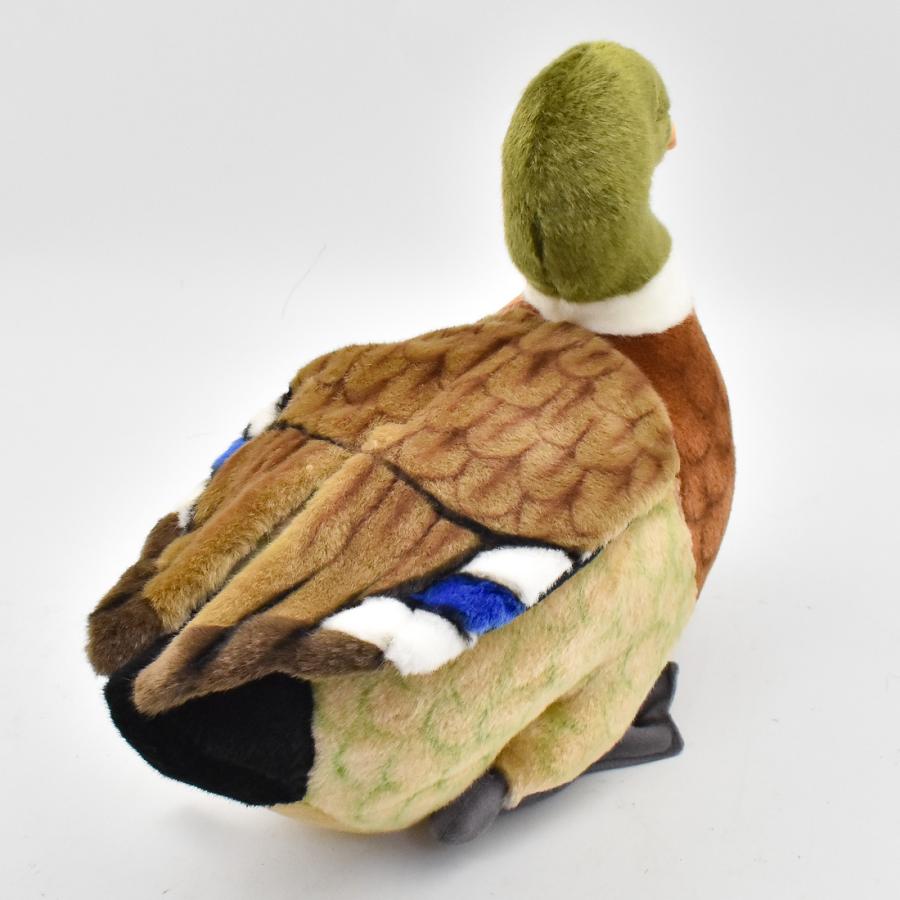 BH3601 マガモ HANSA　まがも 真鴨 とり トリ 鳥 ぬいぐるみ リアル | HANSA（ぬいぐるみ） | 02