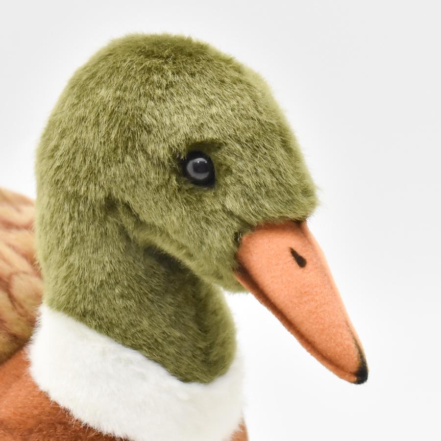 BH3601 マガモ HANSA　まがも 真鴨 とり トリ 鳥 ぬいぐるみ リアル | HANSA（ぬいぐるみ） | 03