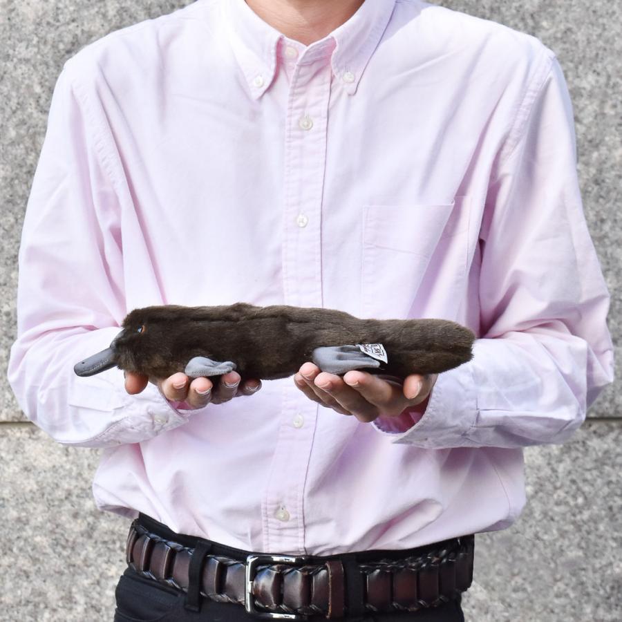 BH3635 カモノハシ HANSA　かものはし とり トリ 鳥 ぬいぐるみ リアル | HANSA（ぬいぐるみ） | 07