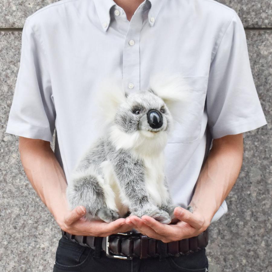 BH3637 コアラ HANSA　こあら ぬいぐるみ リアル | HANSA（ぬいぐるみ） | 08