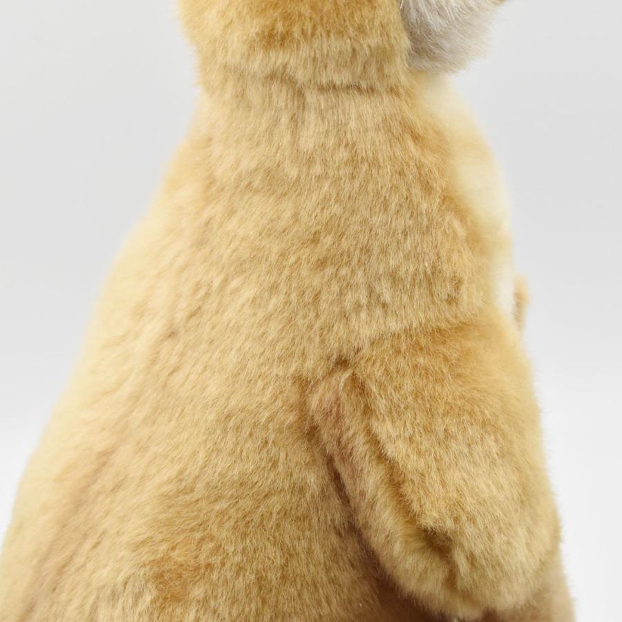BH3642 アカカンガルー HANSA　あかかんがるー ぬいぐるみ リアル | HANSA（ぬいぐるみ） | 04