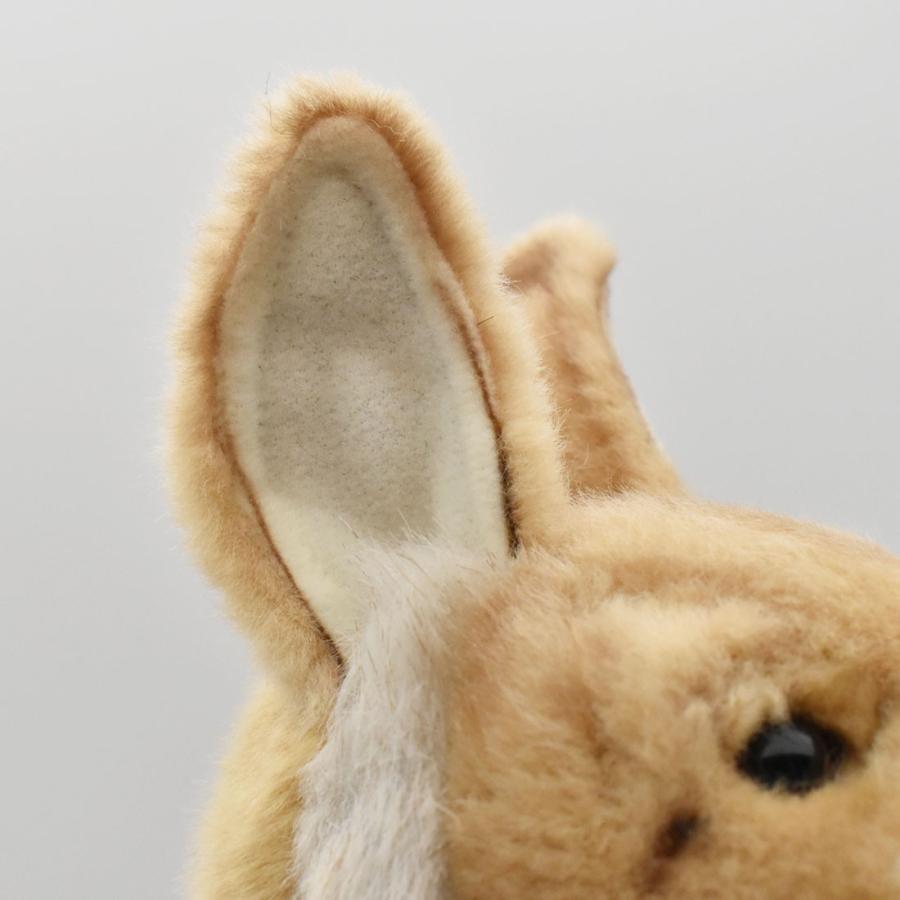 アンカルジアぬいぐるみ Amazon.co.jp: IVCSATB シアン ぬいぐるみ Lookies Plush