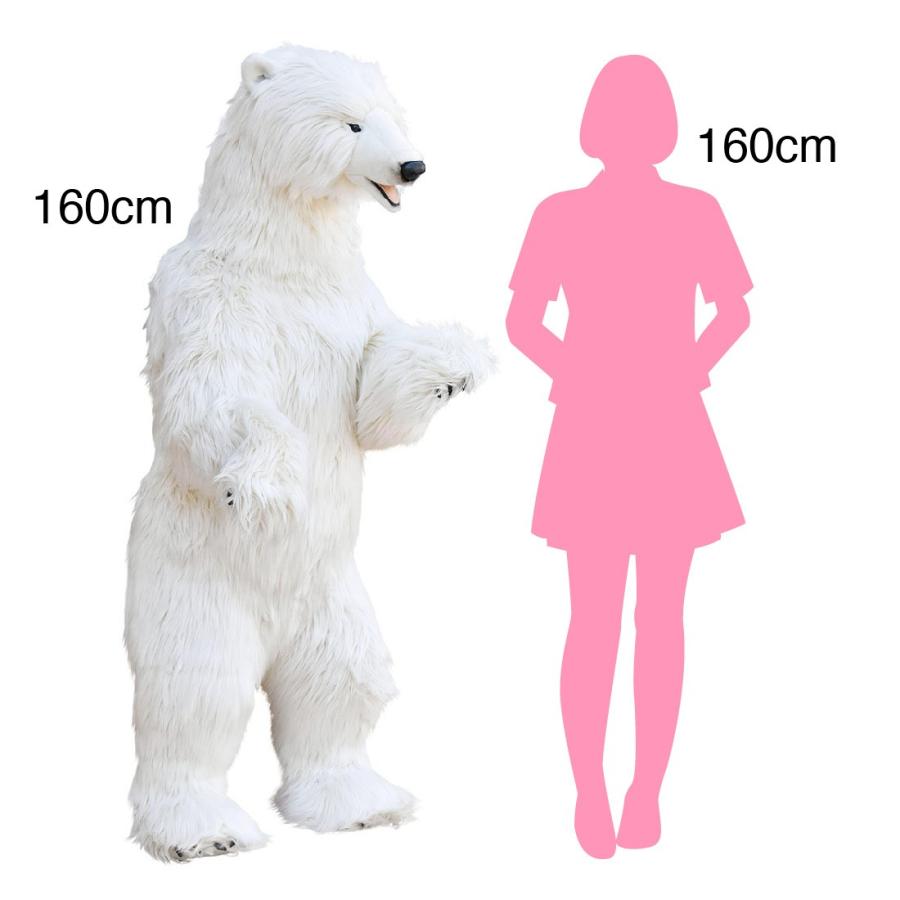 BH3650 ホッキョクグマ HANSA　ほっきょくぐま くま 北極熊 ぬいぐるみ リアル | HANSA（ぬいぐるみ） | 05