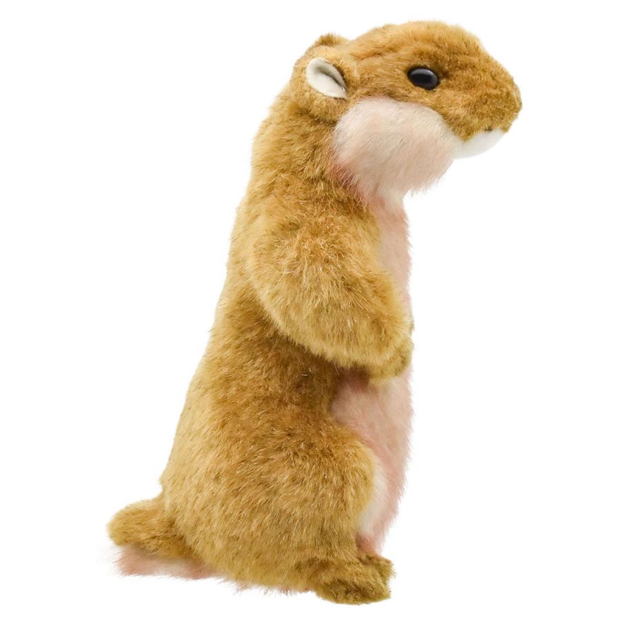 Lead りーどっく ぬいぐるみ HANSA（ぬいぐるみ） BH3683 プレーリードッグ HANSA ぷれーりー