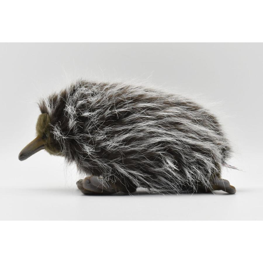 BH3698 ハリモグラ HANSA　はりもぐら 針土竜 ぬいぐるみ リアル | HANSA（ぬいぐるみ） | 01