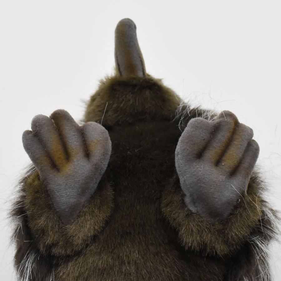 BH3698 ハリモグラ HANSA　はりもぐら 針土竜 ぬいぐるみ リアル | HANSA（ぬいぐるみ） | 05