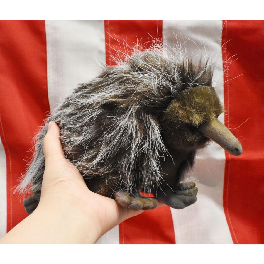 BH3698 ハリモグラ HANSA　はりもぐら 針土竜 ぬいぐるみ リアル | HANSA（ぬいぐるみ） | 07