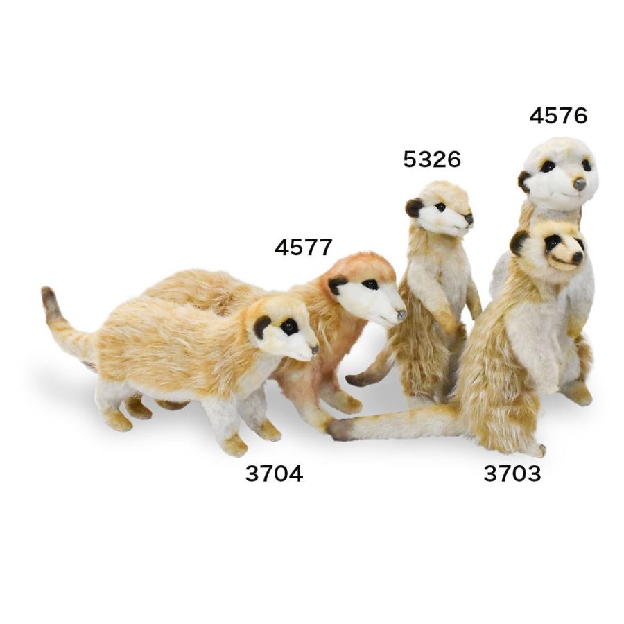 BH3703 ミーアキャット HANSA　みーあきゃっと ぬいぐるみ リアル | HANSA（ぬいぐるみ） | 09