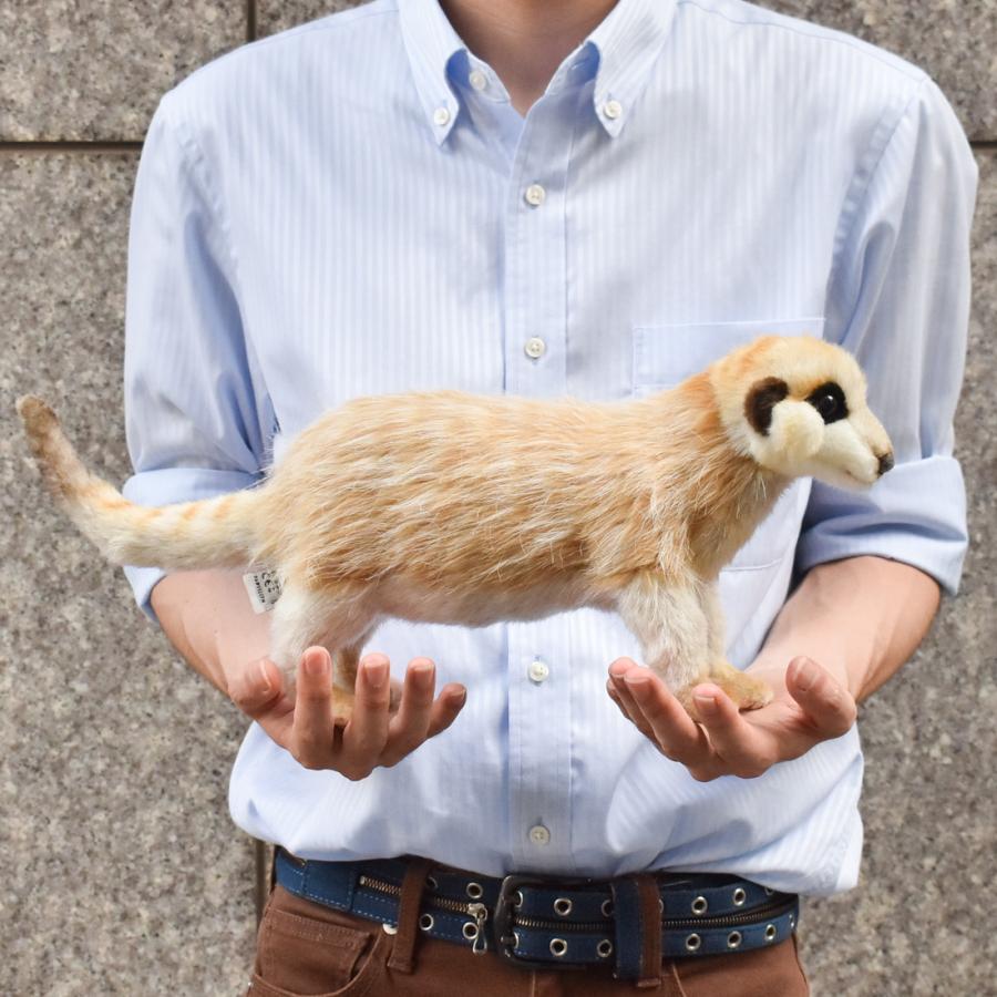 HANSAリアル ぬいぐるみ ミーアキャット 3体セット 新品 HANSA（ぬいぐるみ） BH3704 ミーアキャット HANSA みーあきゃっ
